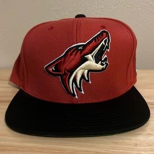 Vintage Mitchell and Ness Phoenix Coyotes snapback hat